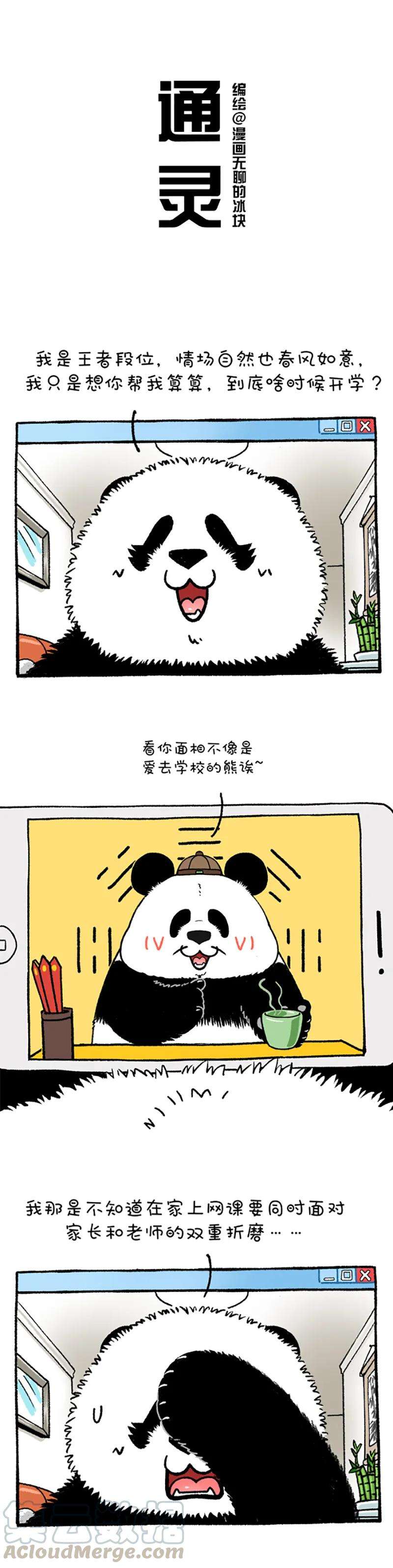 快把动物放进冰箱213 萌熊大仙在线算命