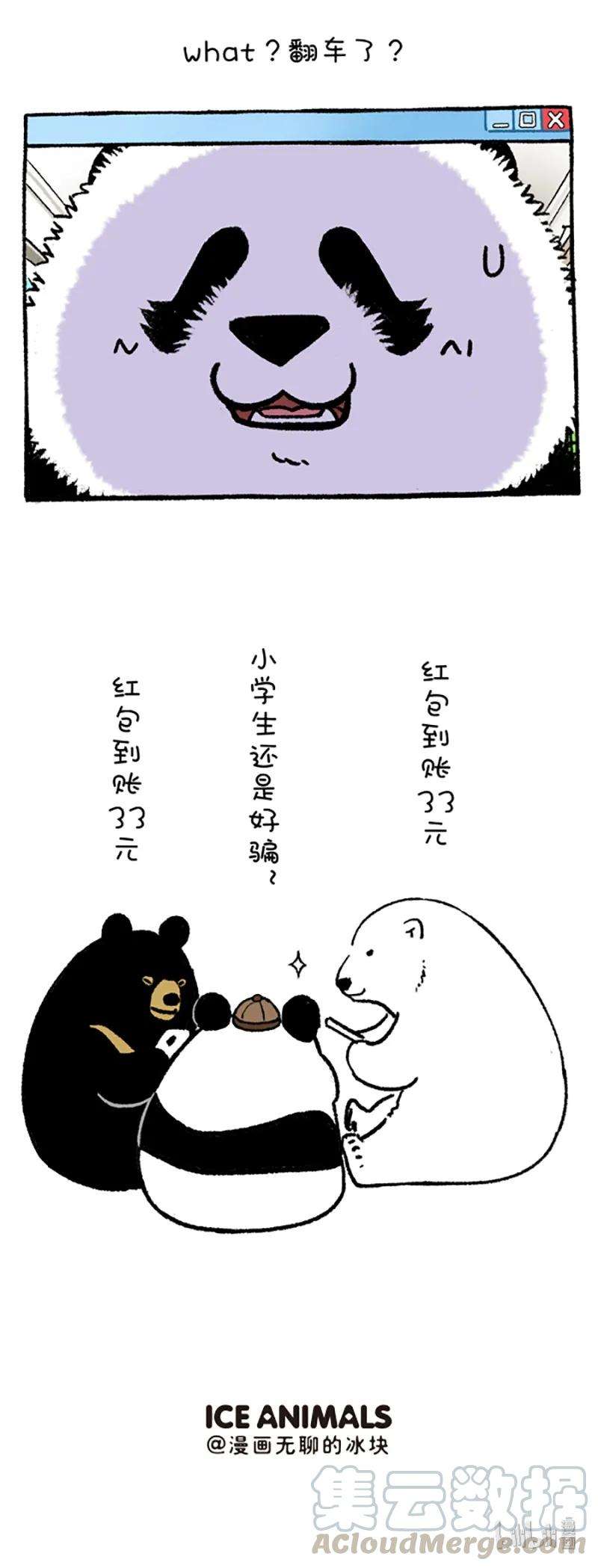快把动物放进冰箱213 萌熊大仙在线算命