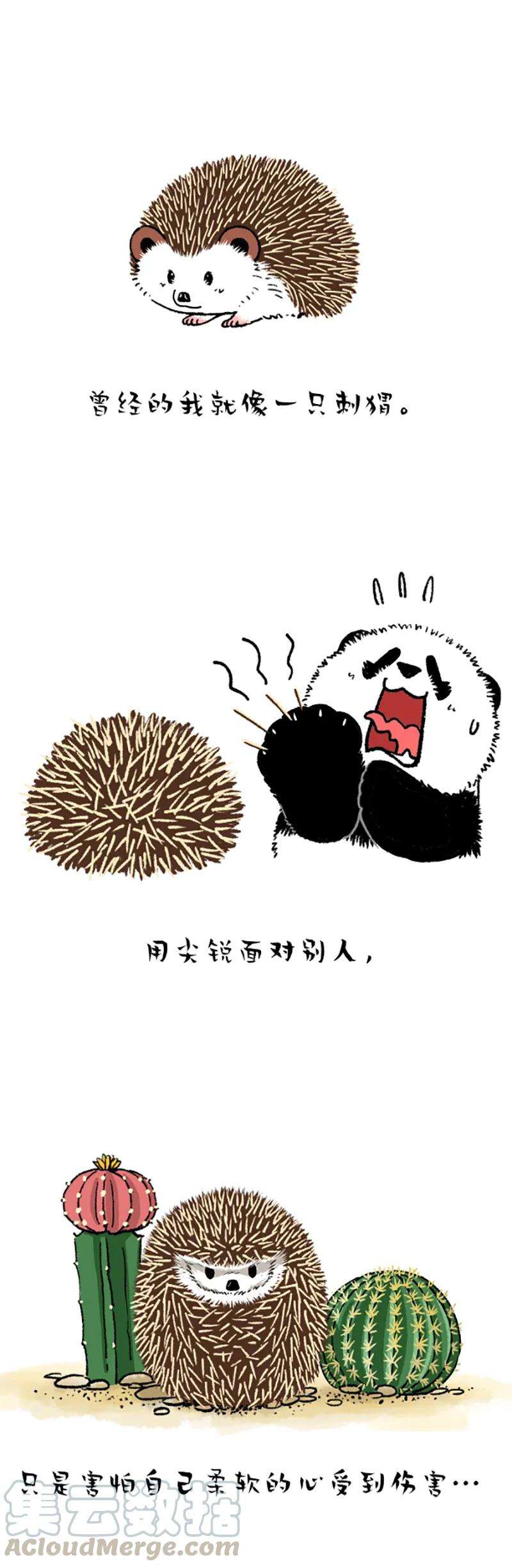 快把动物放进冰箱214 二月二顿悟人生哲理一则