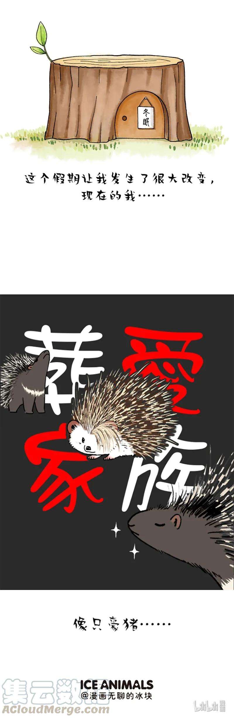 快把动物放进冰箱214 二月二顿悟人生哲理一则