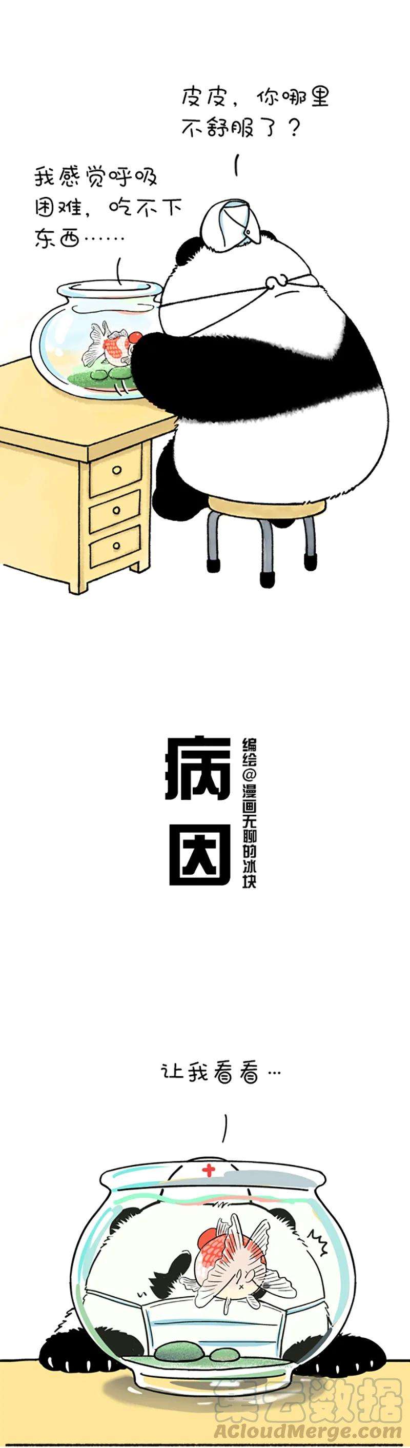 快把动物放进冰箱215 我就是你的灵魂治疗思