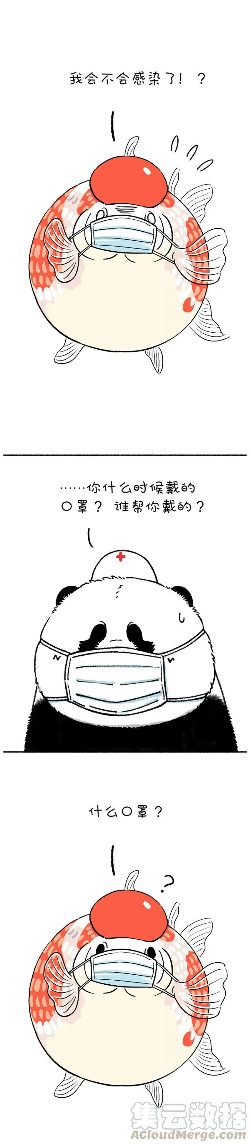 快把动物放进冰箱215 我就是你的灵魂治疗思