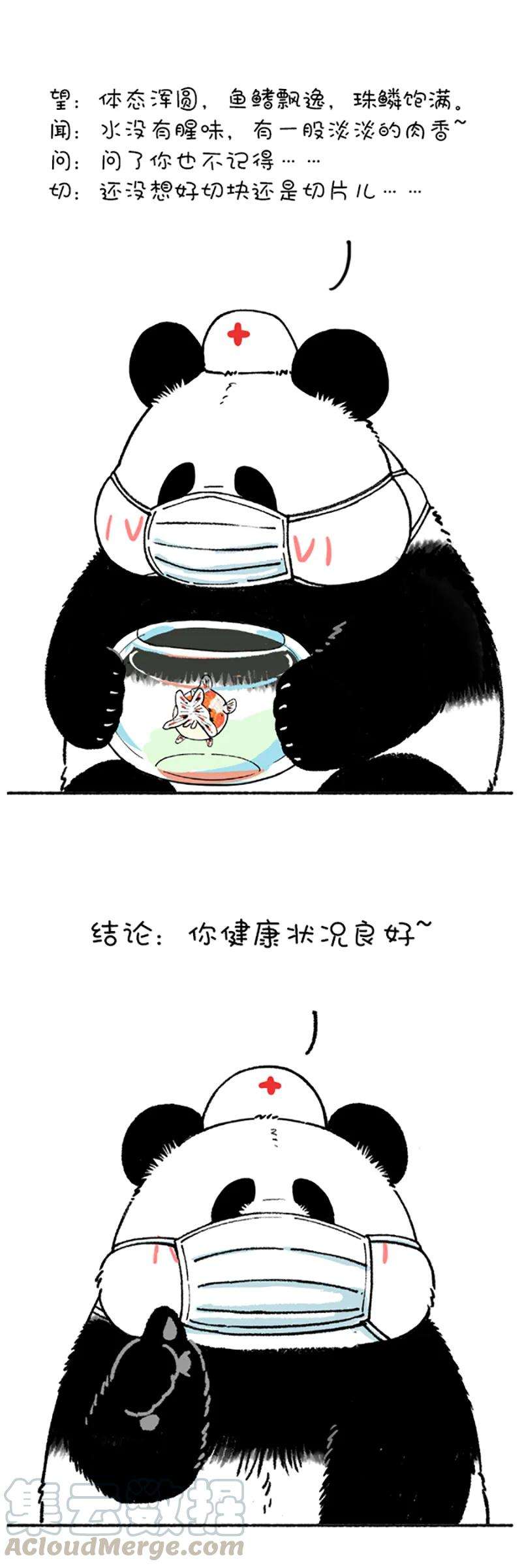 快把动物放进冰箱215 我就是你的灵魂治疗思