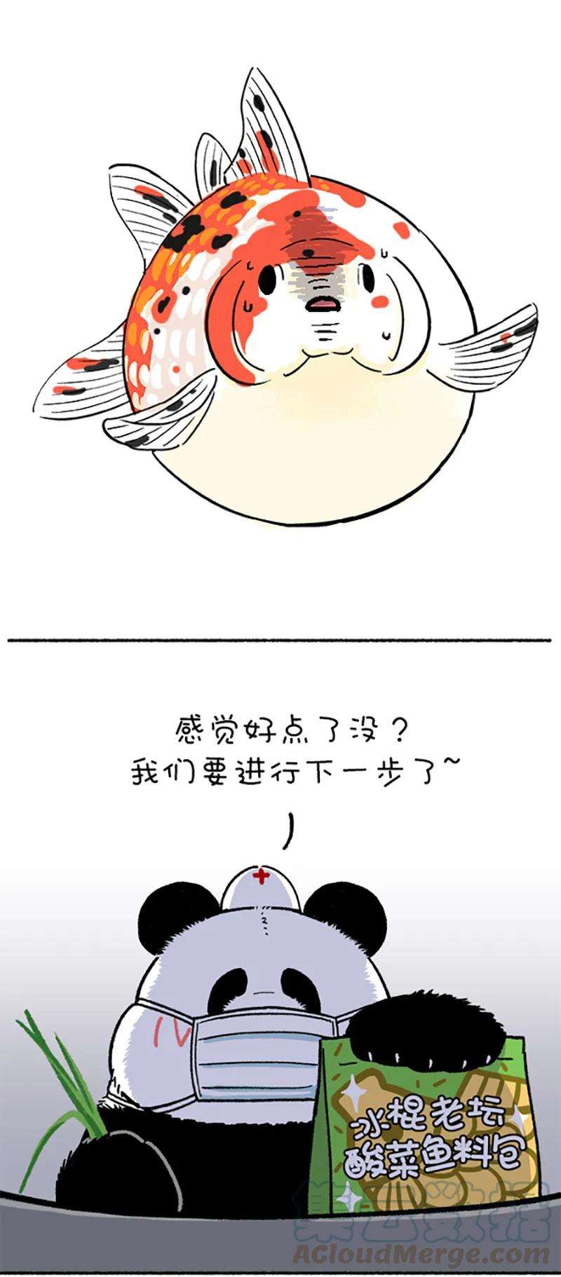 快把动物放进冰箱215 我就是你的灵魂治疗思