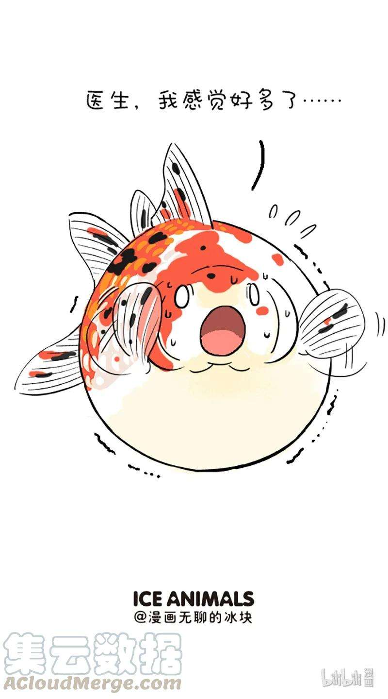 快把动物放进冰箱215 我就是你的灵魂治疗思