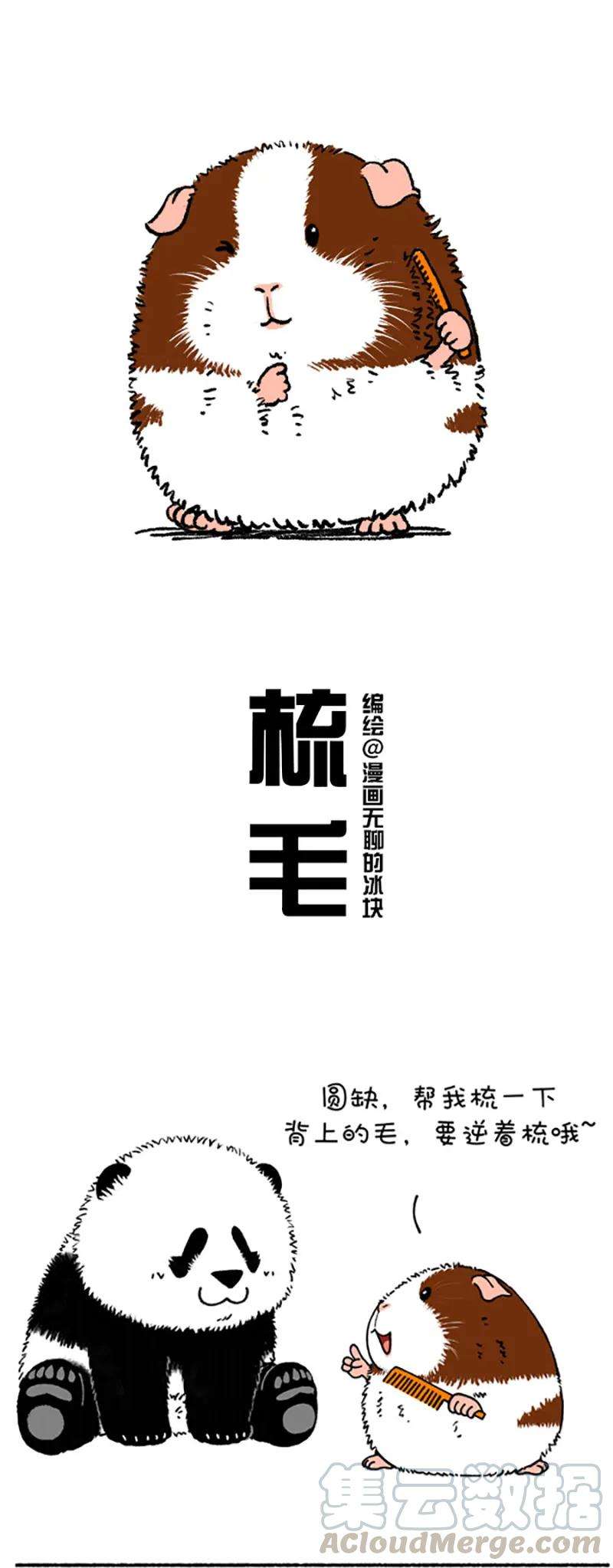 快把动物放进冰箱216 原谅我这一生不羁放纵太可口