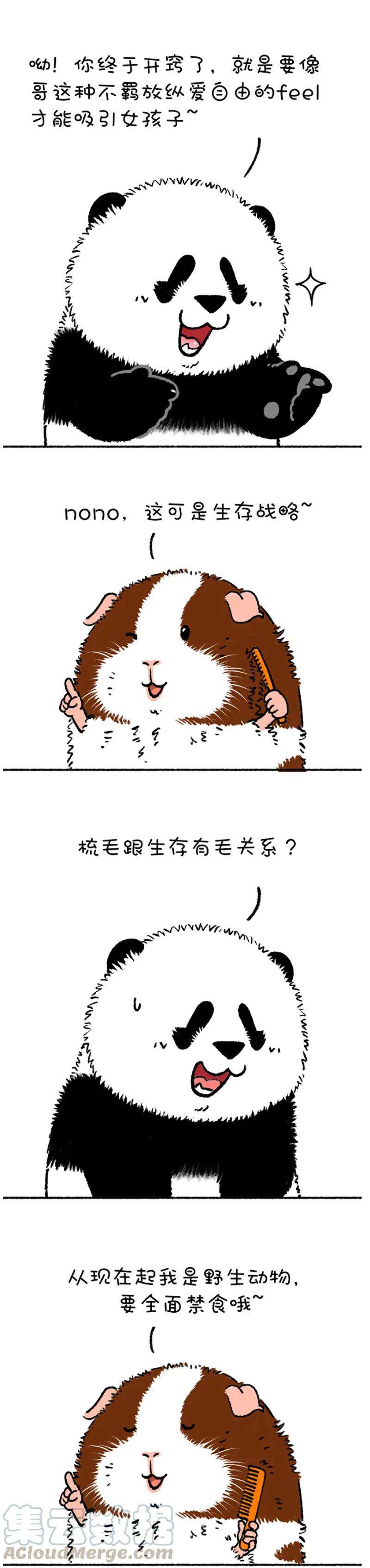 快把动物放进冰箱216 原谅我这一生不羁放纵太可口