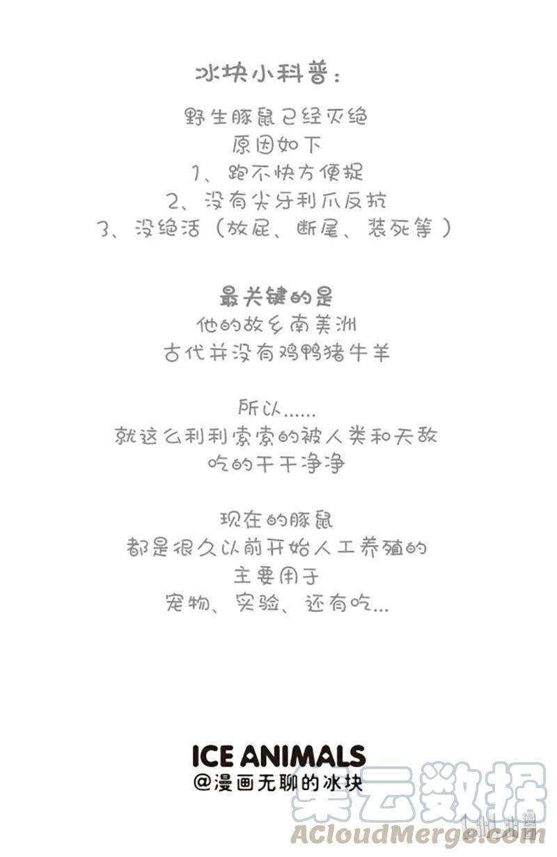 快把动物放进冰箱216 原谅我这一生不羁放纵太可口
