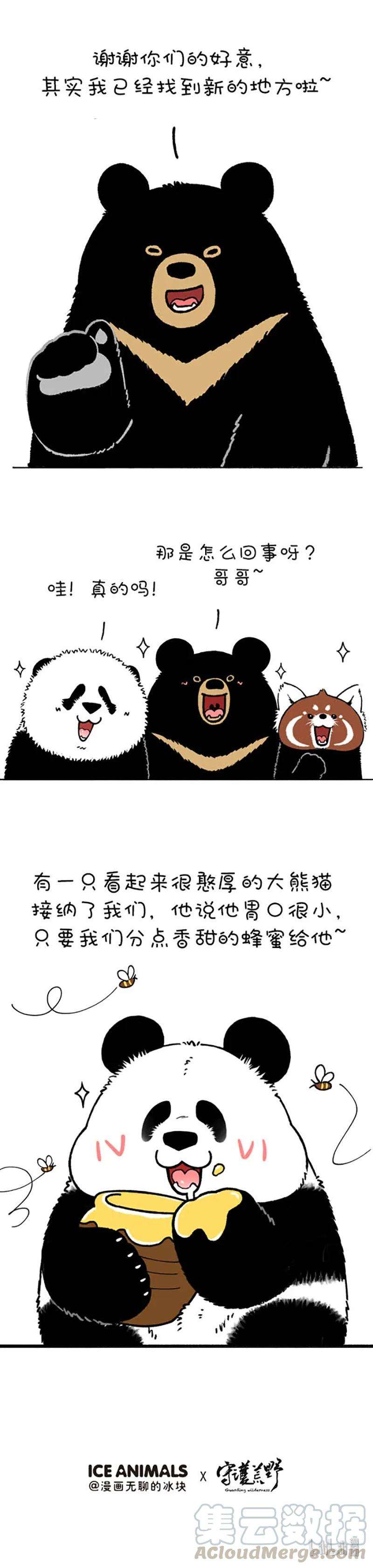 快把动物放进冰箱220 熊挪活，树挪死
