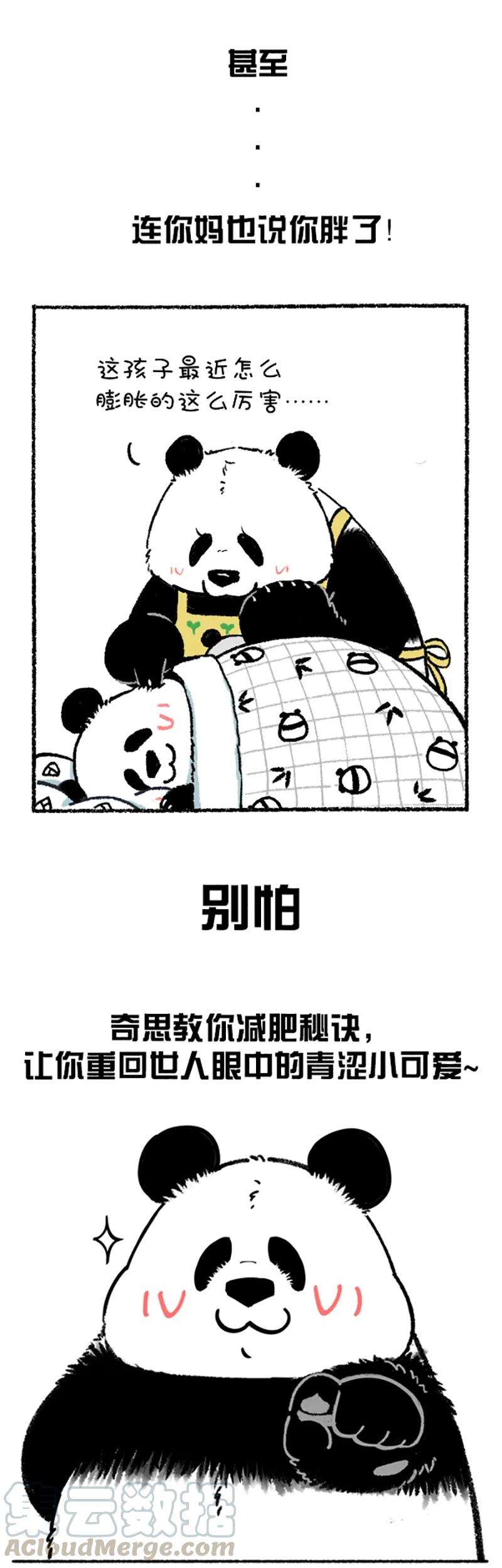 快把动物放进冰箱222 减肥还是要找对人~