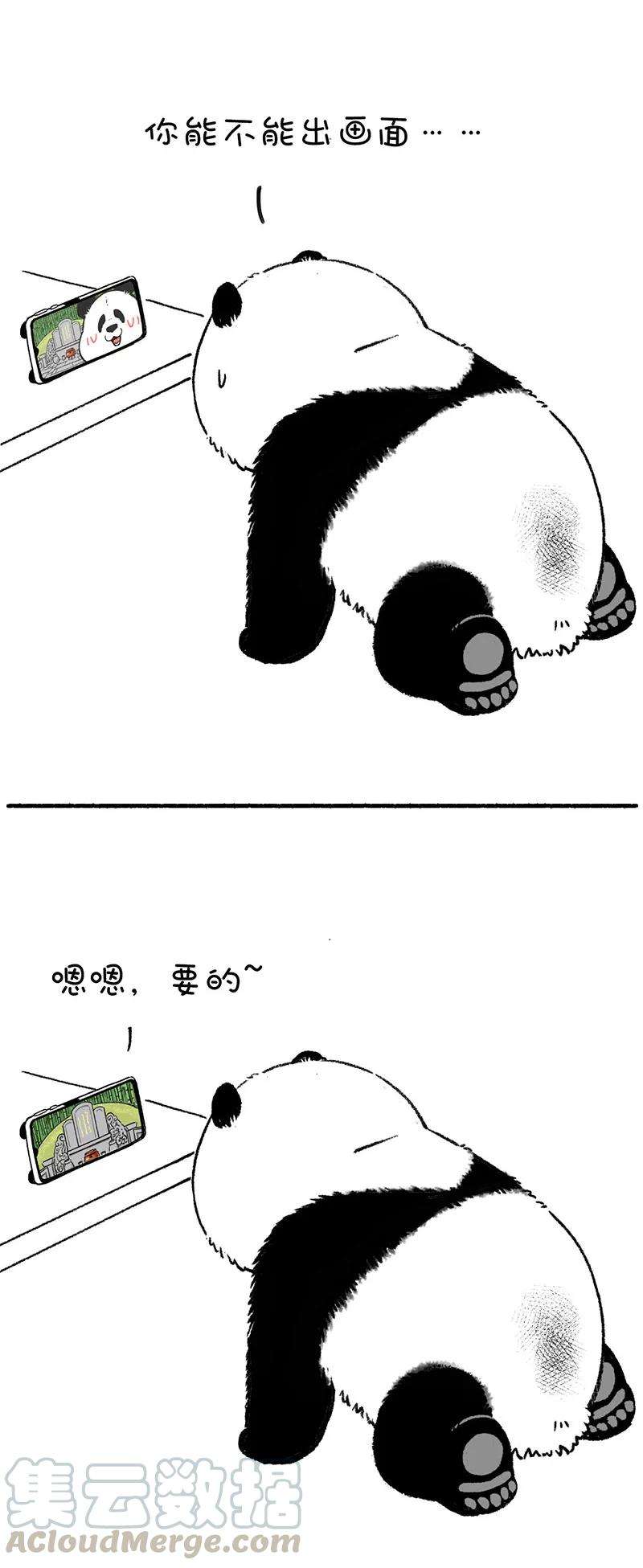 快把动物放进冰箱224 传统清明创新过