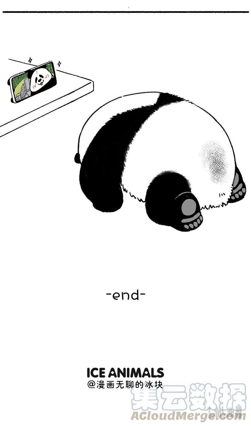 快把动物放进冰箱224 传统清明创新过
