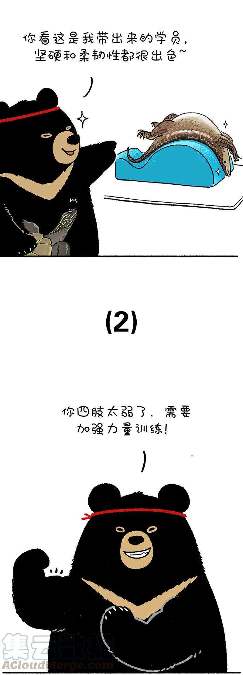 快把动物放进冰箱225 去年的春装给了我一记响亮的耳光