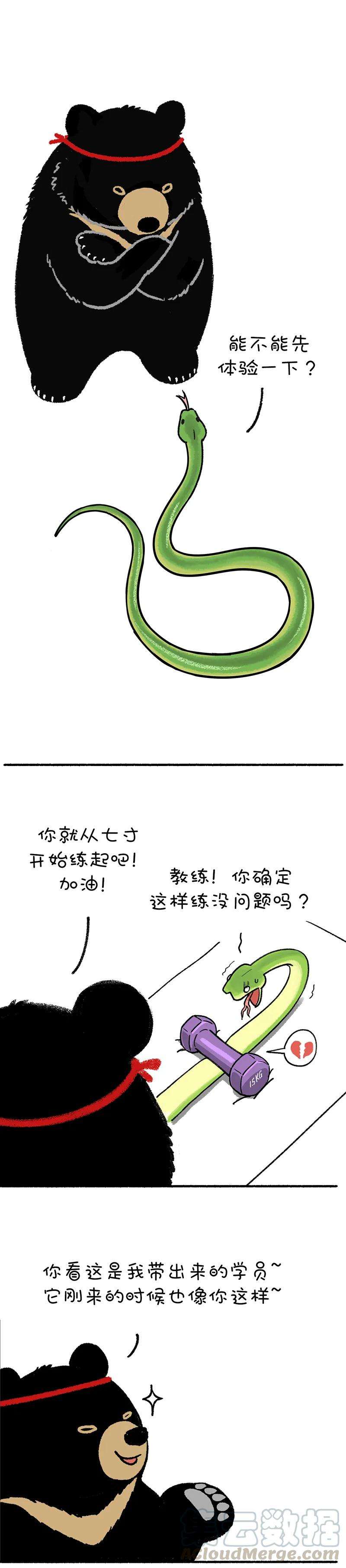 快把动物放进冰箱225 去年的春装给了我一记响亮的耳光