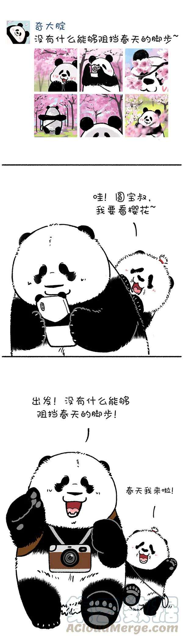 快把动物放进冰箱226 没有什么能够阻挡春天的脚步