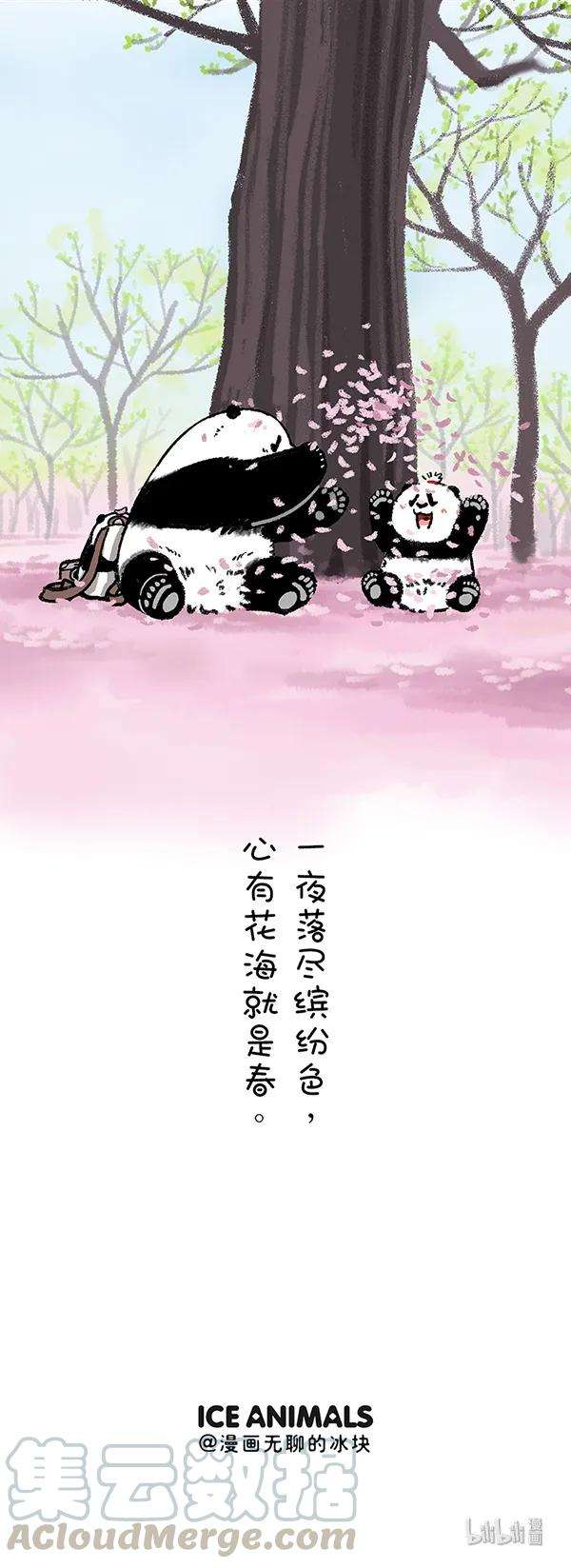 快把动物放进冰箱226 没有什么能够阻挡春天的脚步