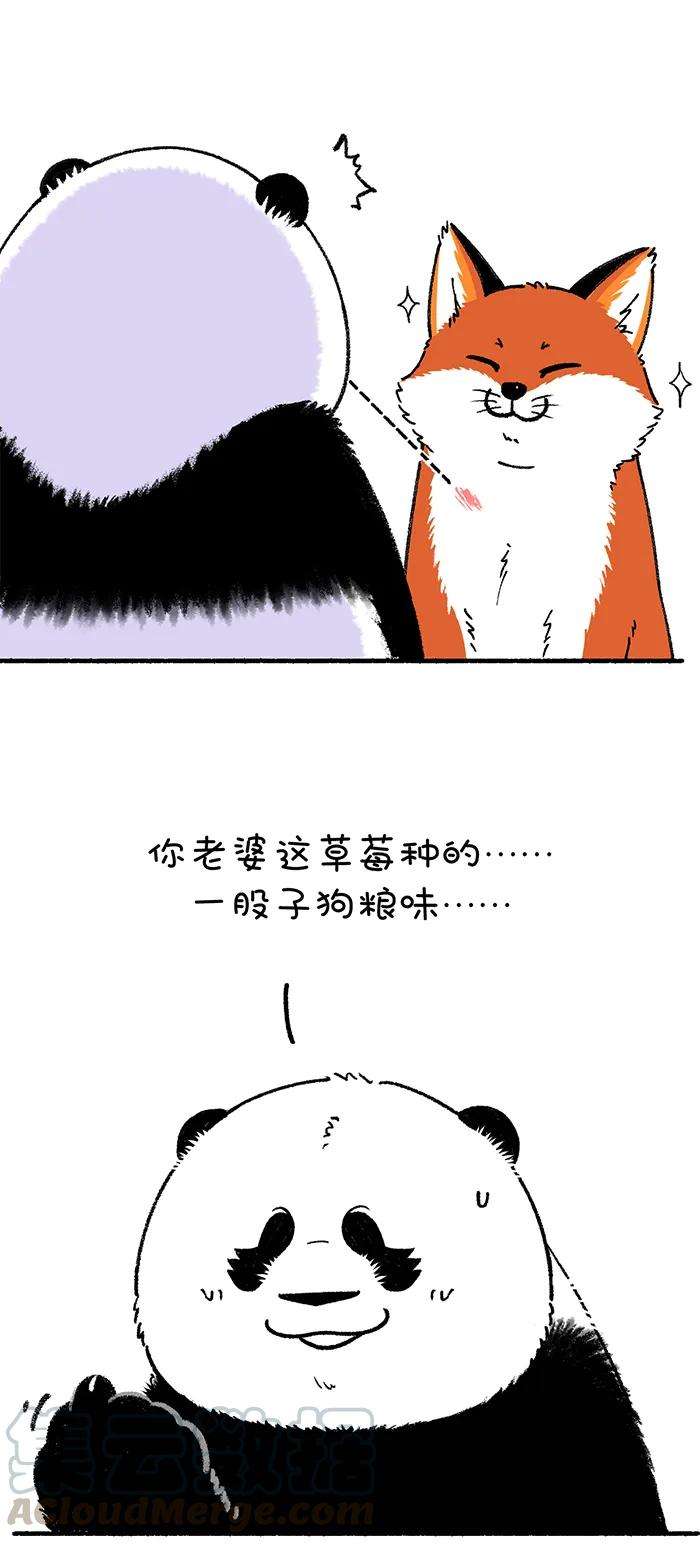 快把动物放进冰箱228 别误会，我是熊又不是猪！