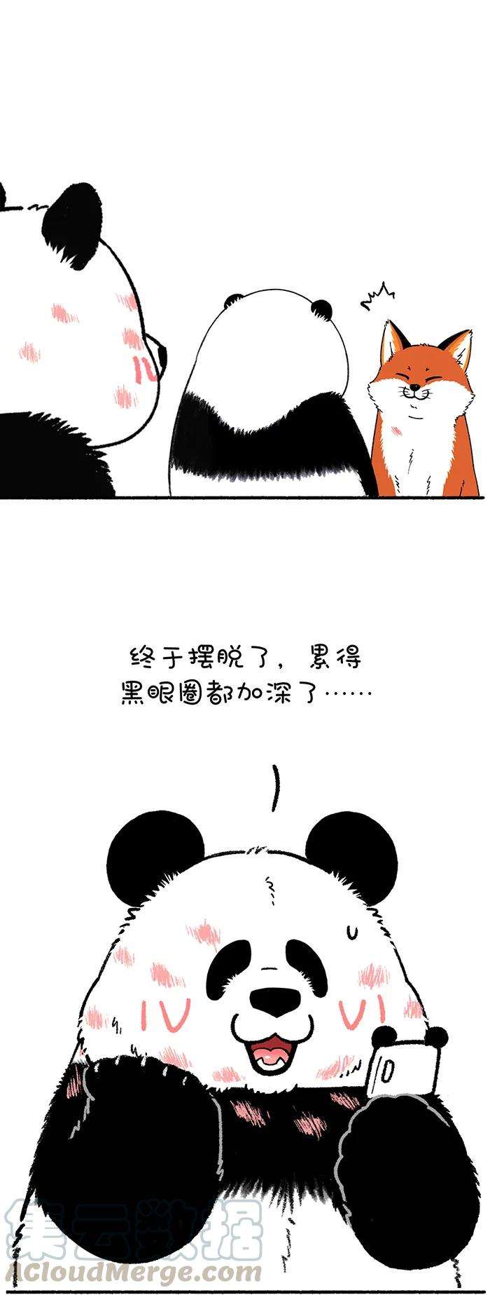 快把动物放进冰箱228 别误会，我是熊又不是猪！