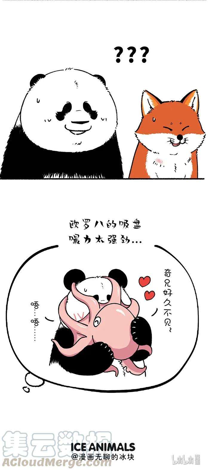 快把动物放进冰箱228 别误会，我是熊又不是猪！