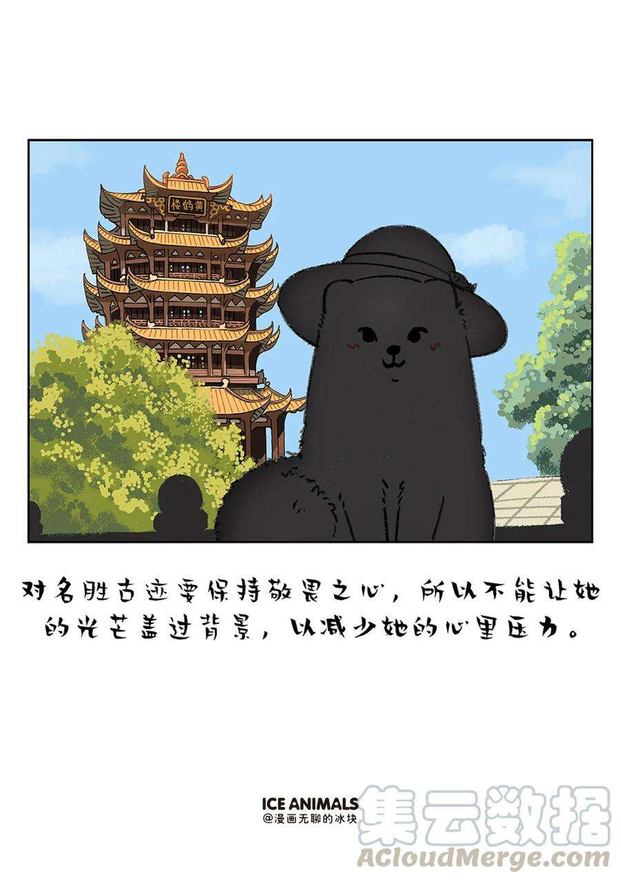 快把动物放进冰箱229 男朋友是否对你用心，看他给你拍的照片就知道