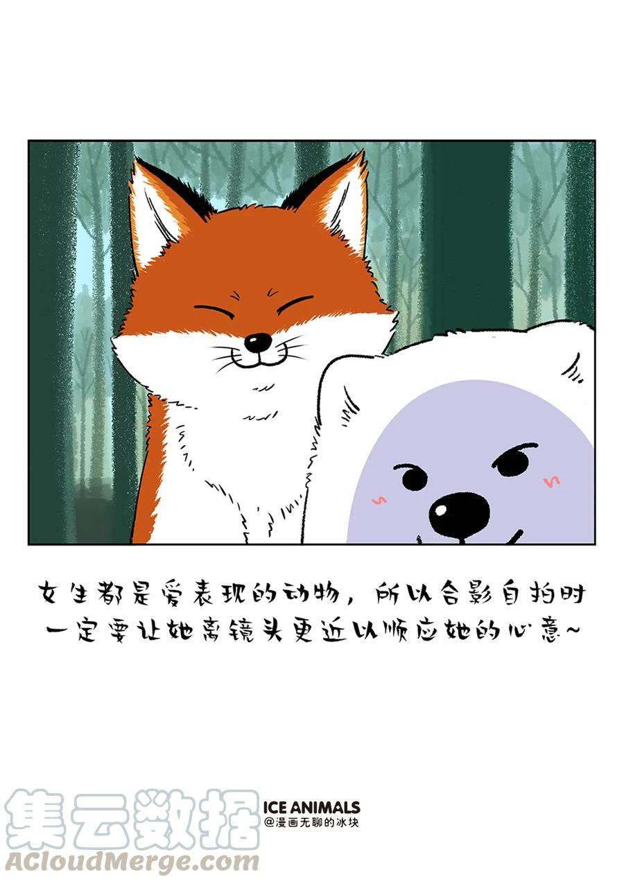快把动物放进冰箱229 男朋友是否对你用心，看他给你拍的照片就知道