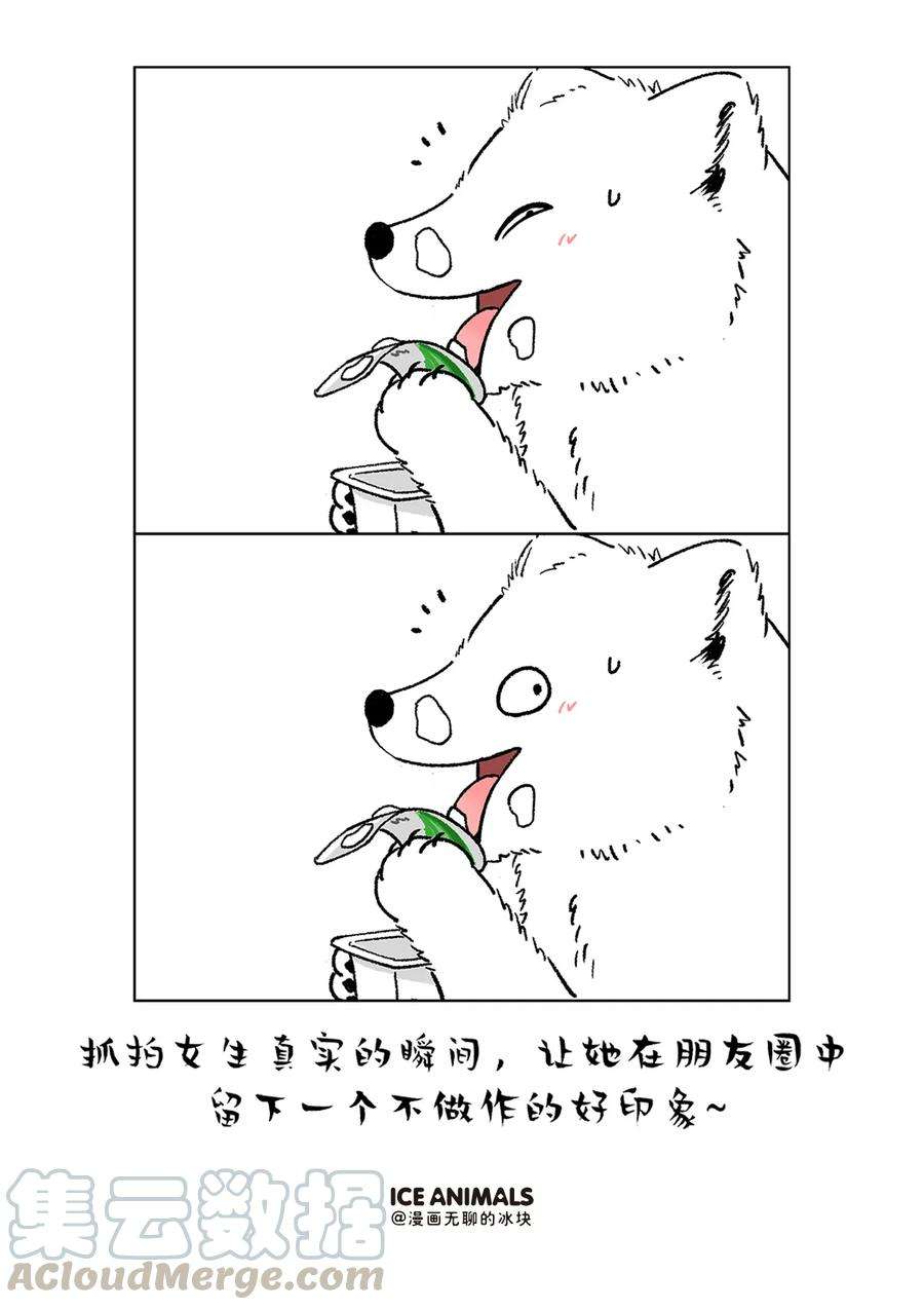 快把动物放进冰箱229 男朋友是否对你用心，看他给你拍的照片就知道