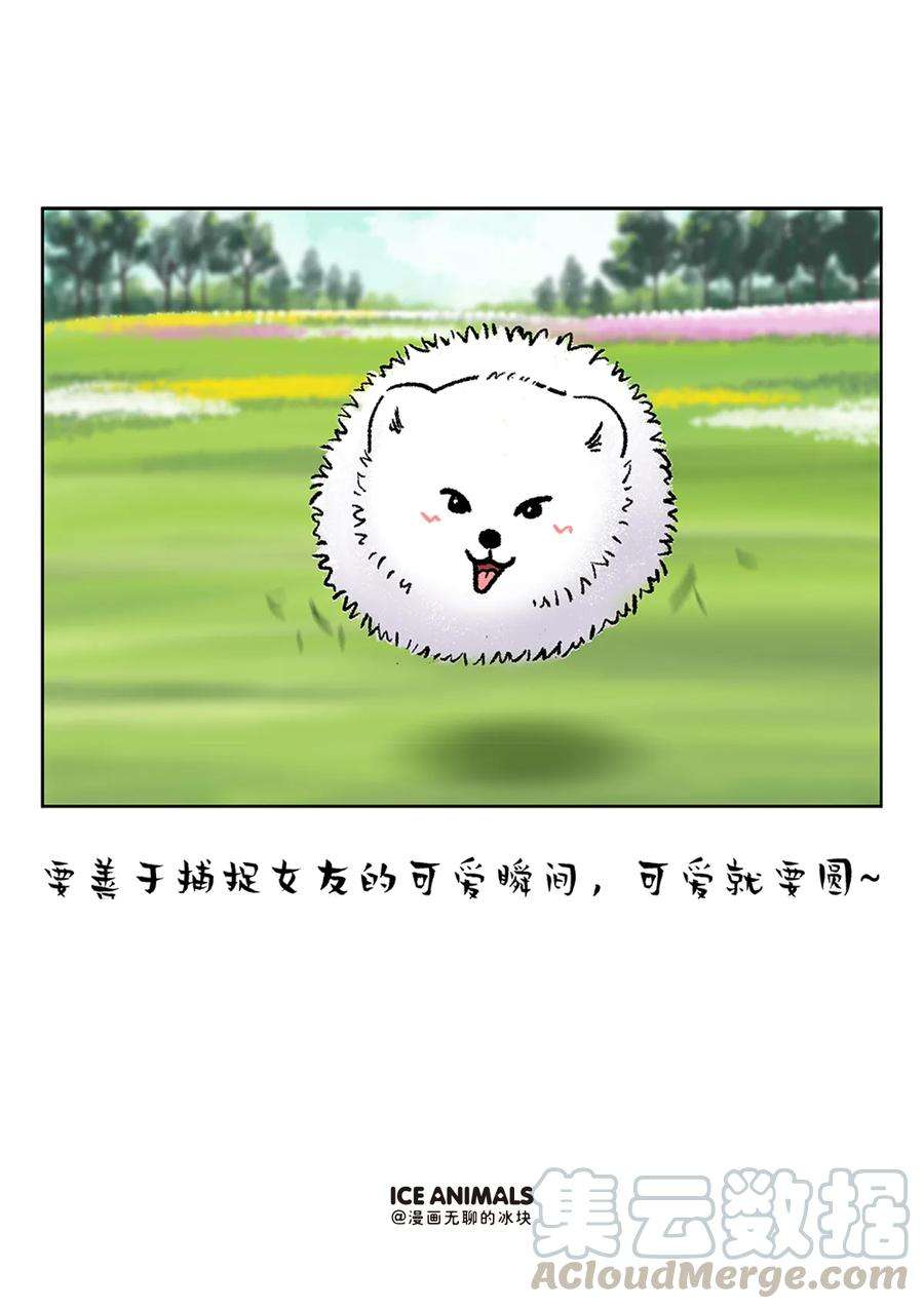 快把动物放进冰箱229 男朋友是否对你用心，看他给你拍的照片就知道
