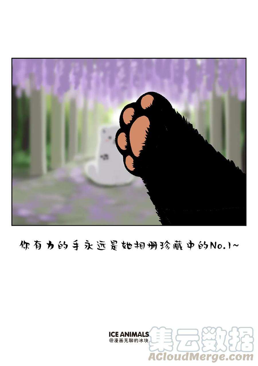 快把动物放进冰箱229 男朋友是否对你用心，看他给你拍的照片就知道