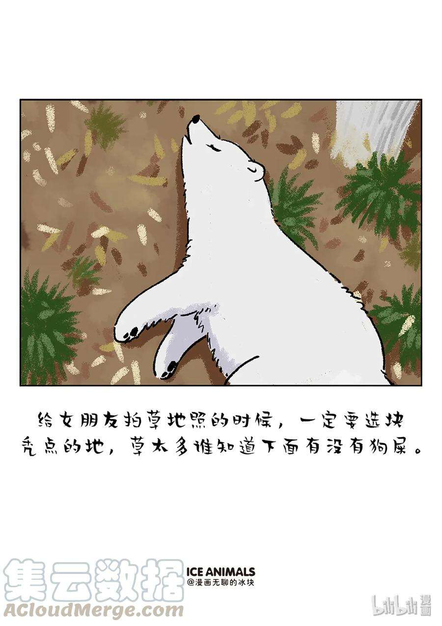 快把动物放进冰箱229 男朋友是否对你用心，看他给你拍的照片就知道