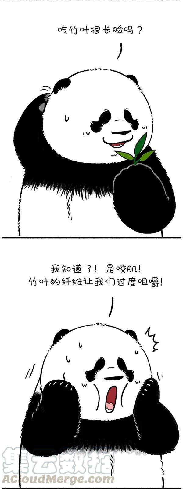 快把动物放进冰箱230 一招解决你的脸大问题