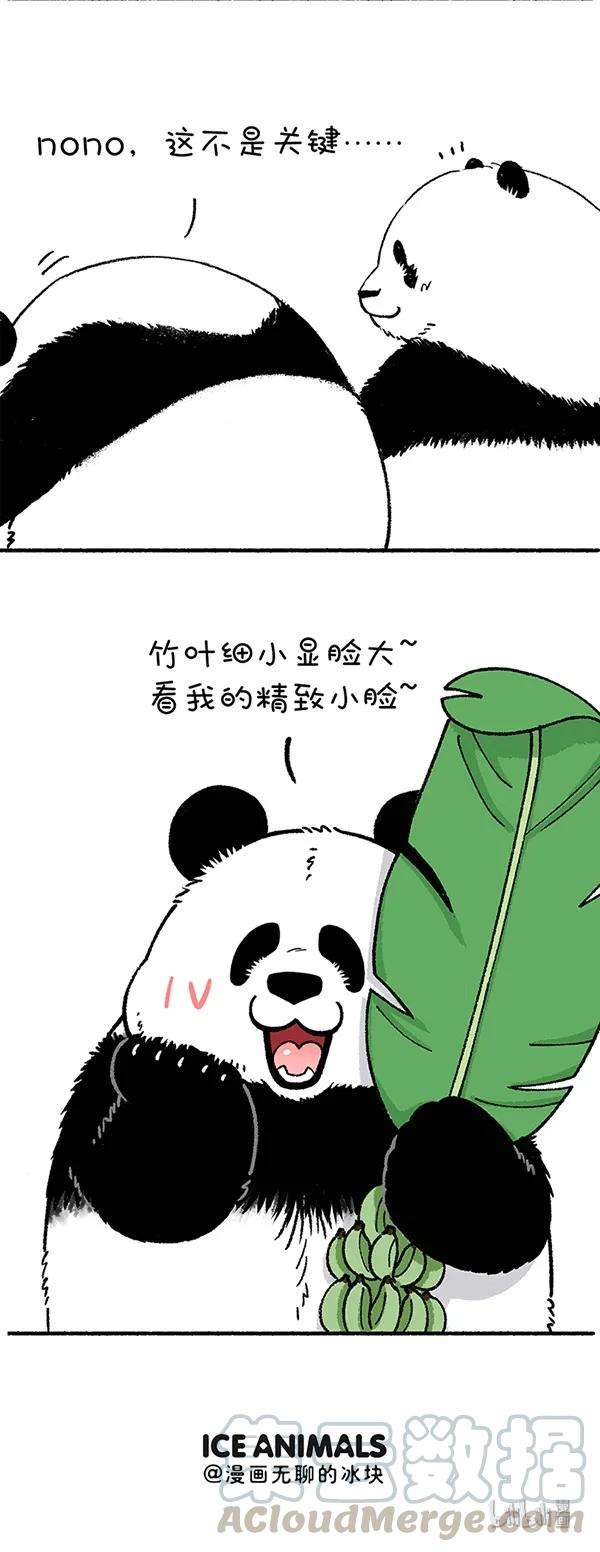 快把动物放进冰箱230 一招解决你的脸大问题