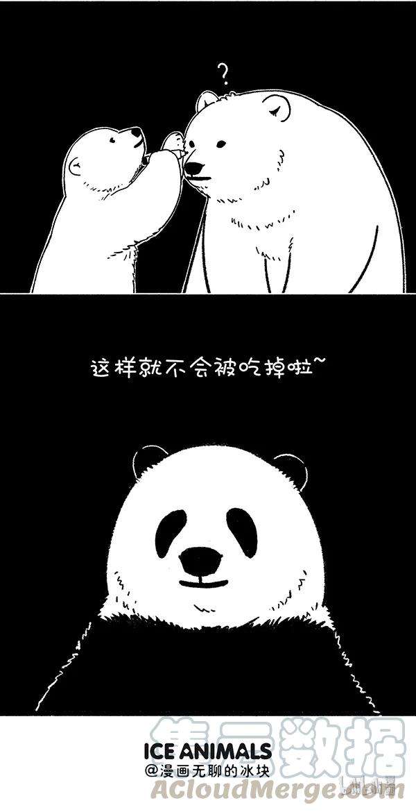 快把动物放进冰箱233 改变已从这一刻悄然开始