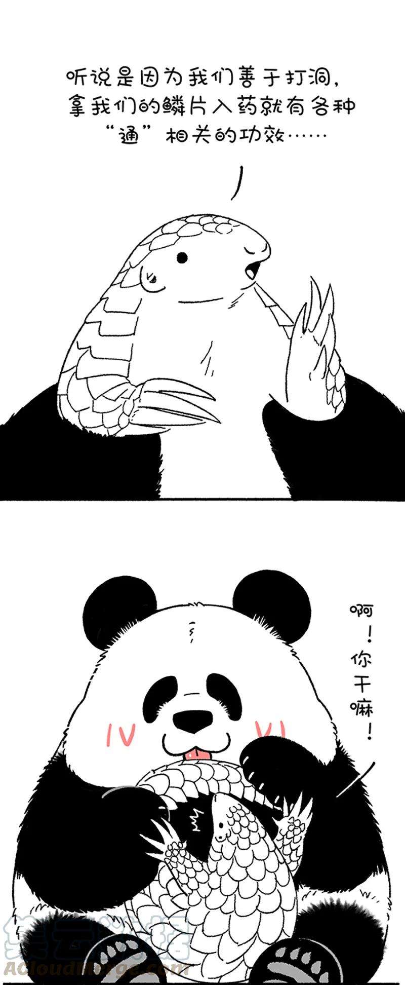 快把动物放进冰箱235 我想不通，为什么你们觉得我能通