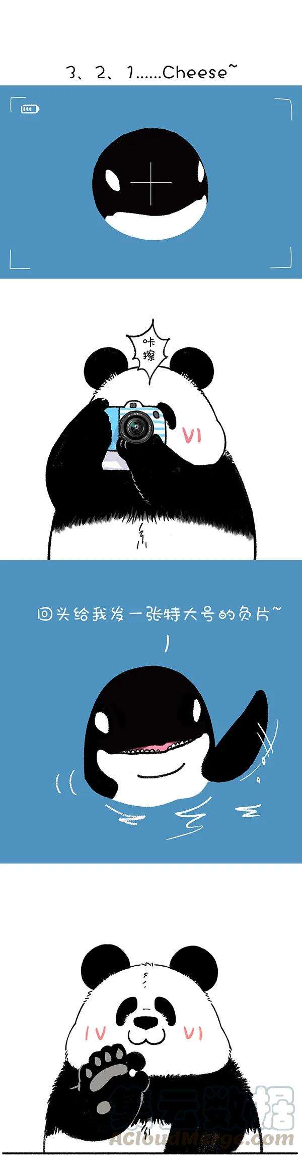 快把动物放进冰箱237 前浪别太浪，留点给后浪
