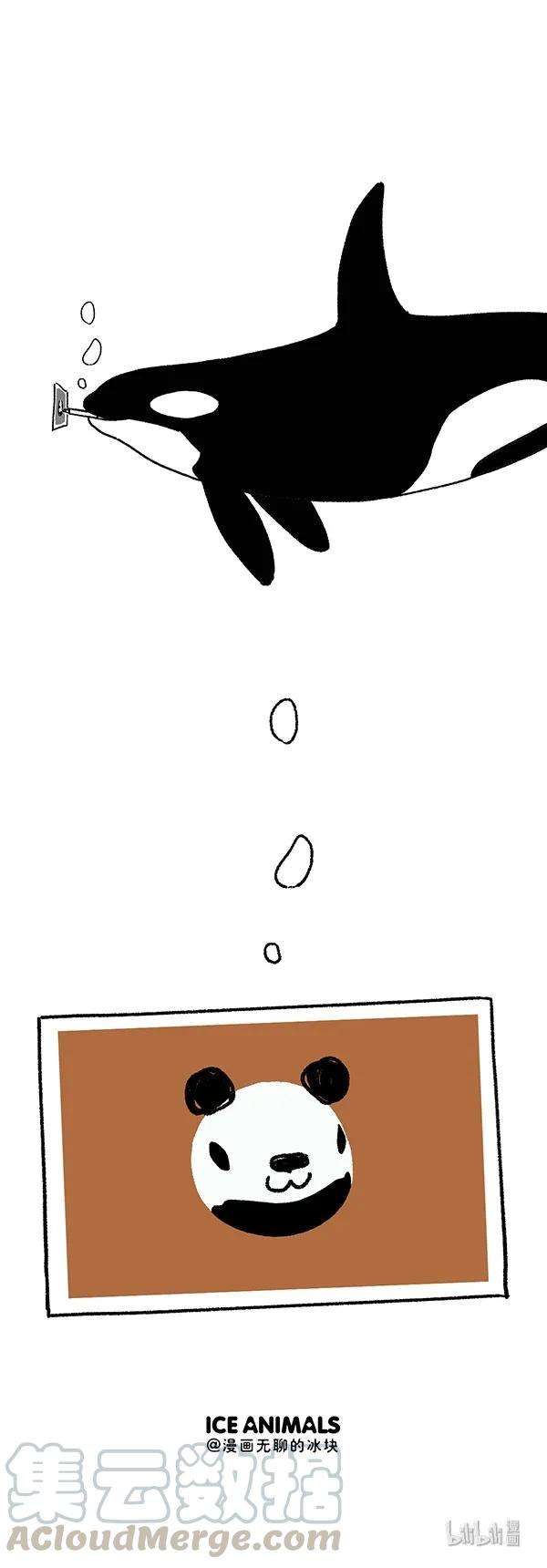 快把动物放进冰箱237 前浪别太浪，留点给后浪