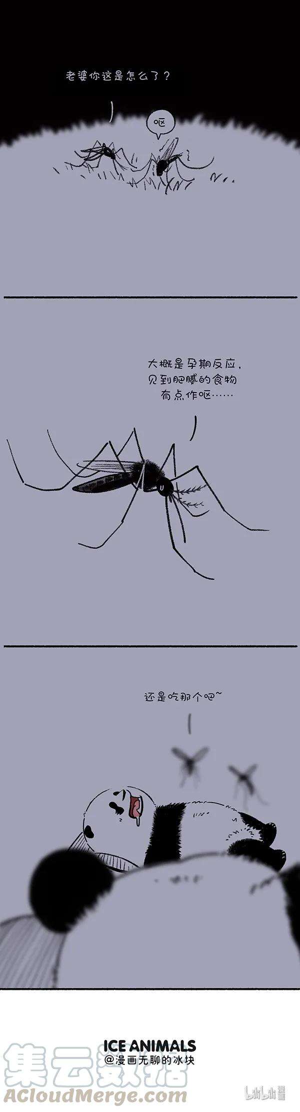 快把动物放进冰箱238 为什么蚊子总咬你？