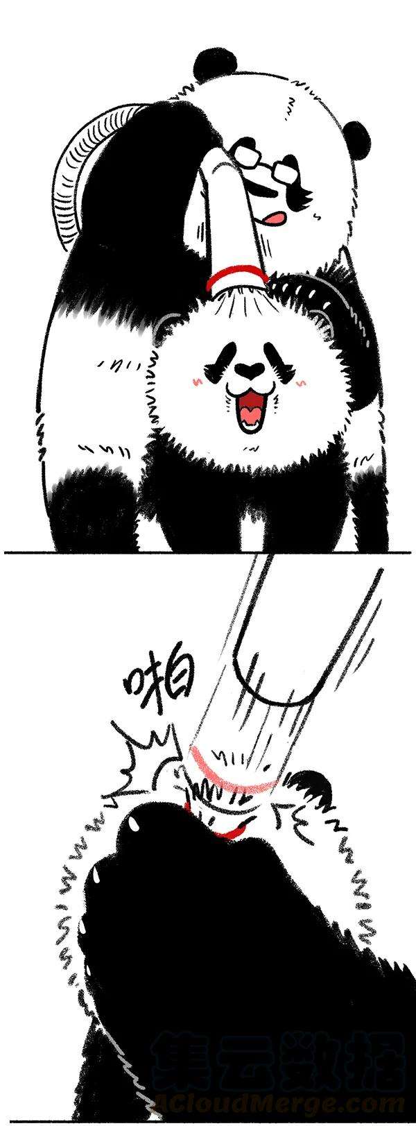快把动物放进冰箱240 这位先生好帅好帅的~