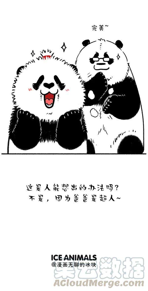 快把动物放进冰箱240 这位先生好帅好帅的~