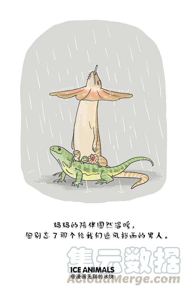 快把动物放进冰箱240 这位先生好帅好帅的~
