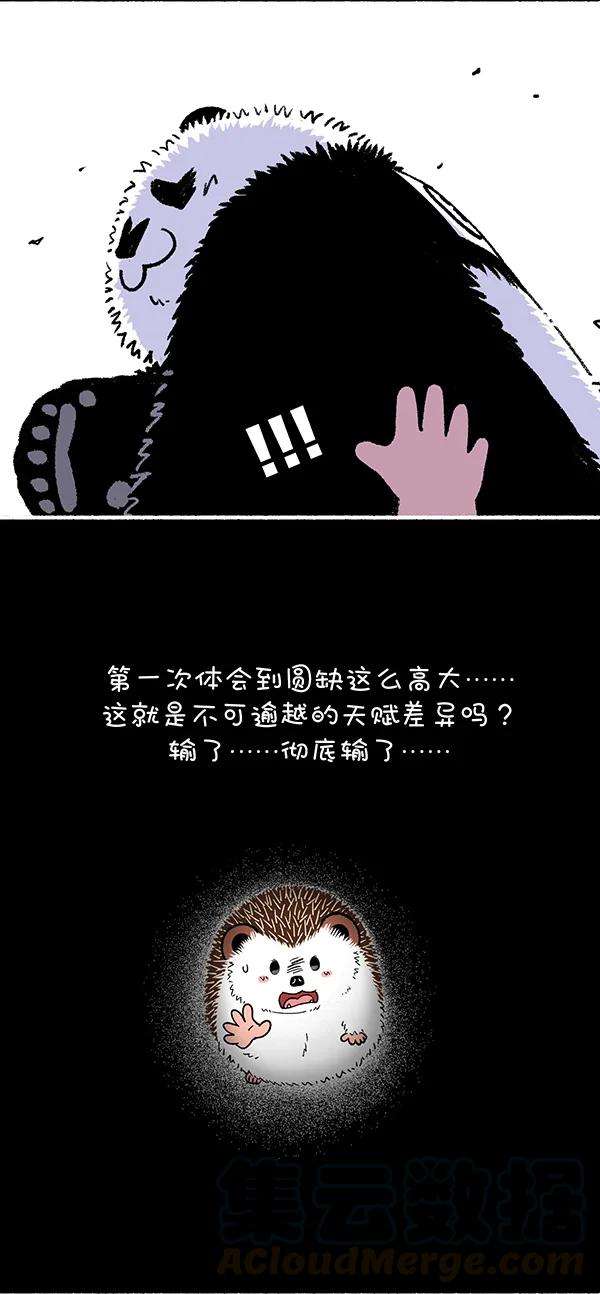 快把动物放进冰箱243 你的核心竞争力的核心是什么？