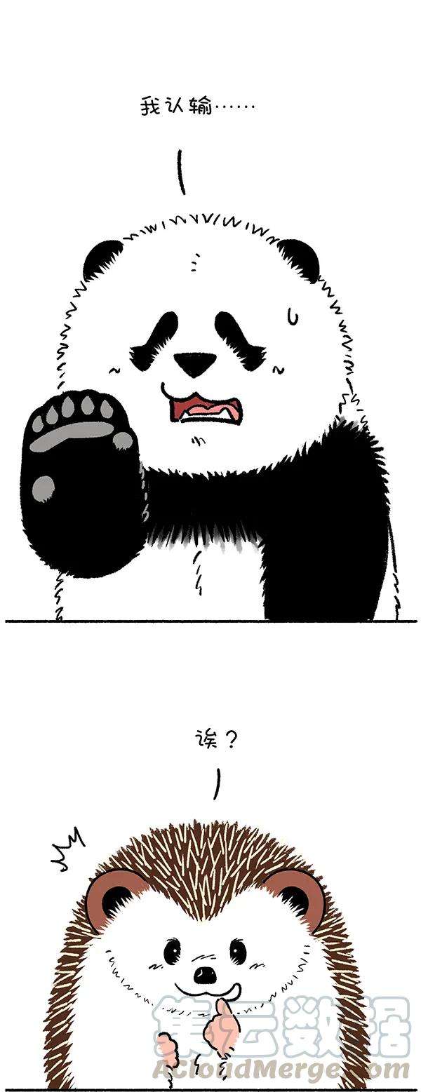 快把动物放进冰箱243 你的核心竞争力的核心是什么？