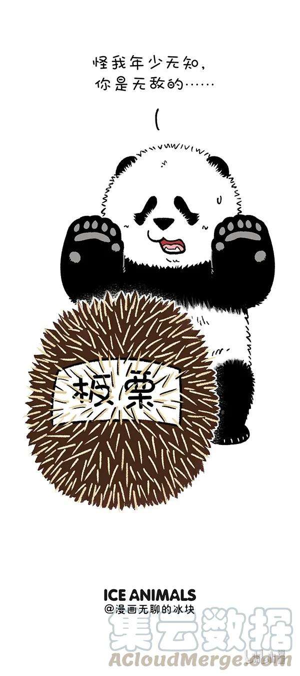 快把动物放进冰箱243 你的核心竞争力的核心是什么？