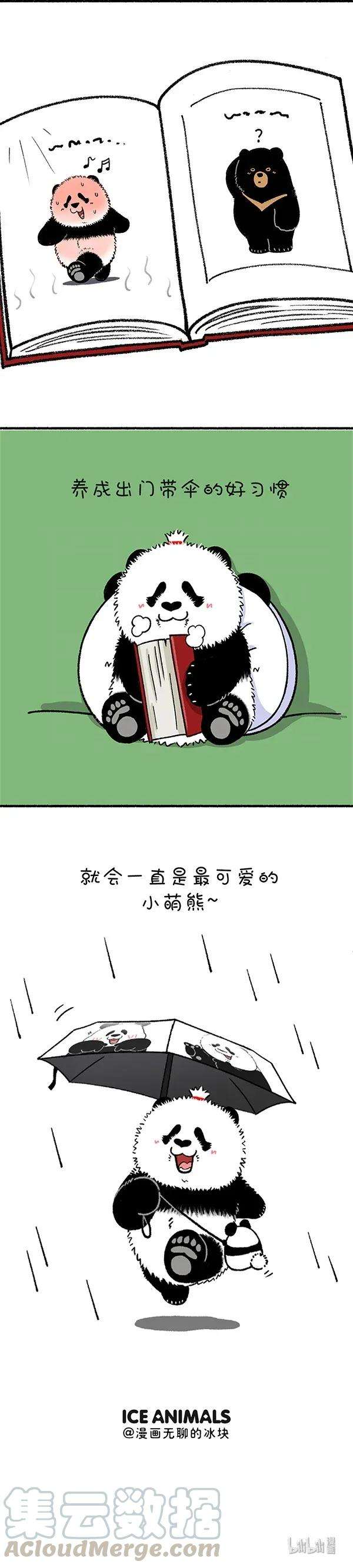 快把动物放进冰箱244 每次收到高温暴雨预警，我就忍不住替你捏了把