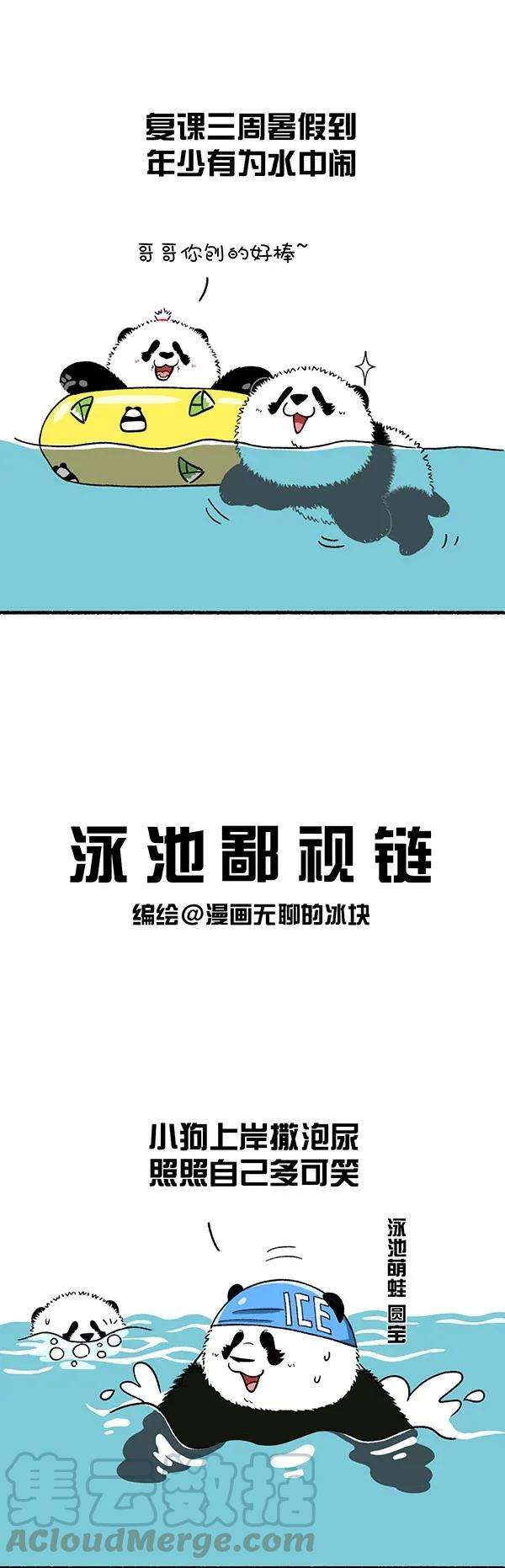 快把动物放进冰箱245 这是一场盛夏的降维打击！