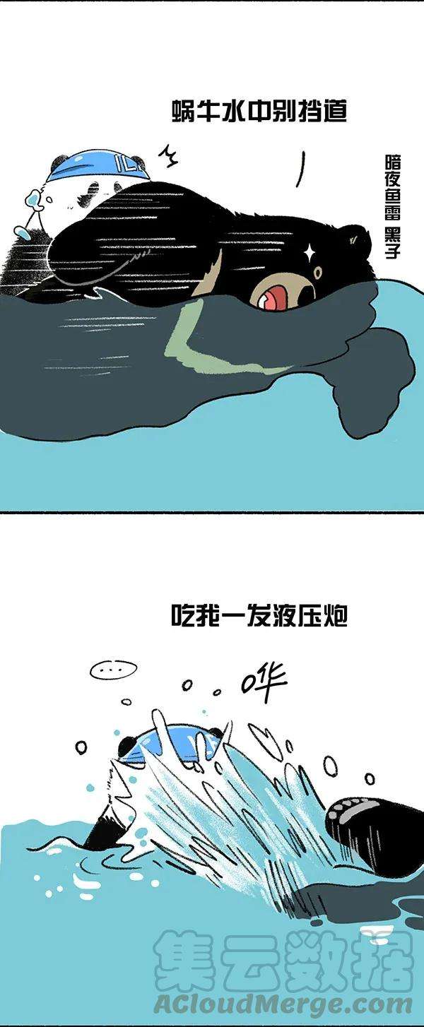 快把动物放进冰箱245 这是一场盛夏的降维打击！