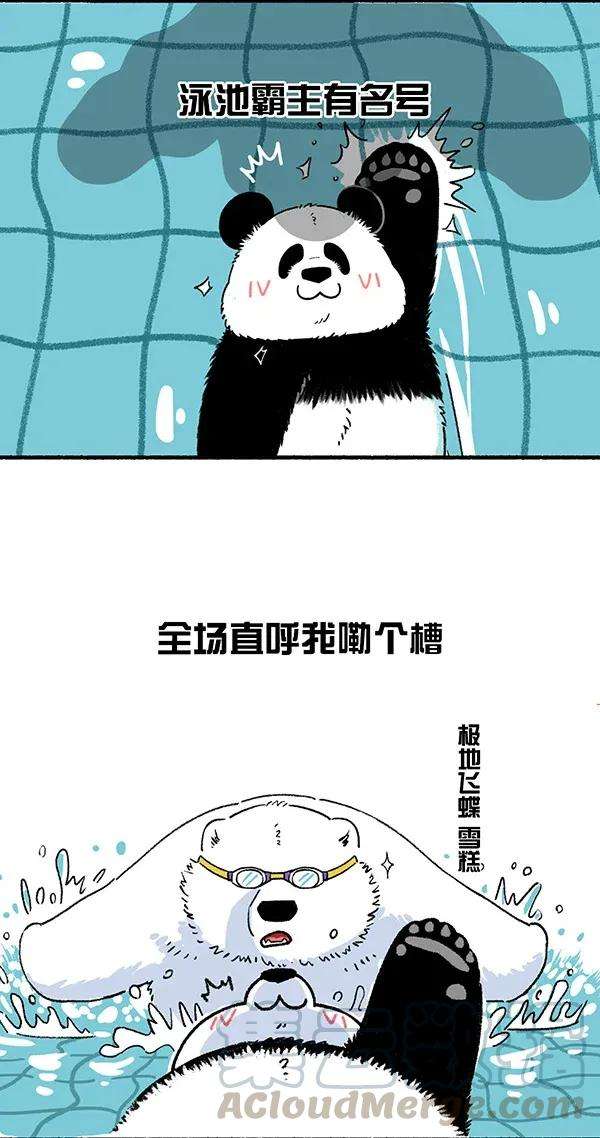 快把动物放进冰箱245 这是一场盛夏的降维打击！