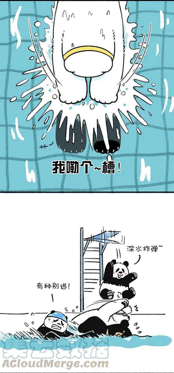 快把动物放进冰箱245 这是一场盛夏的降维打击！