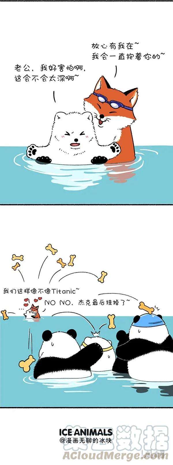 快把动物放进冰箱245 这是一场盛夏的降维打击！