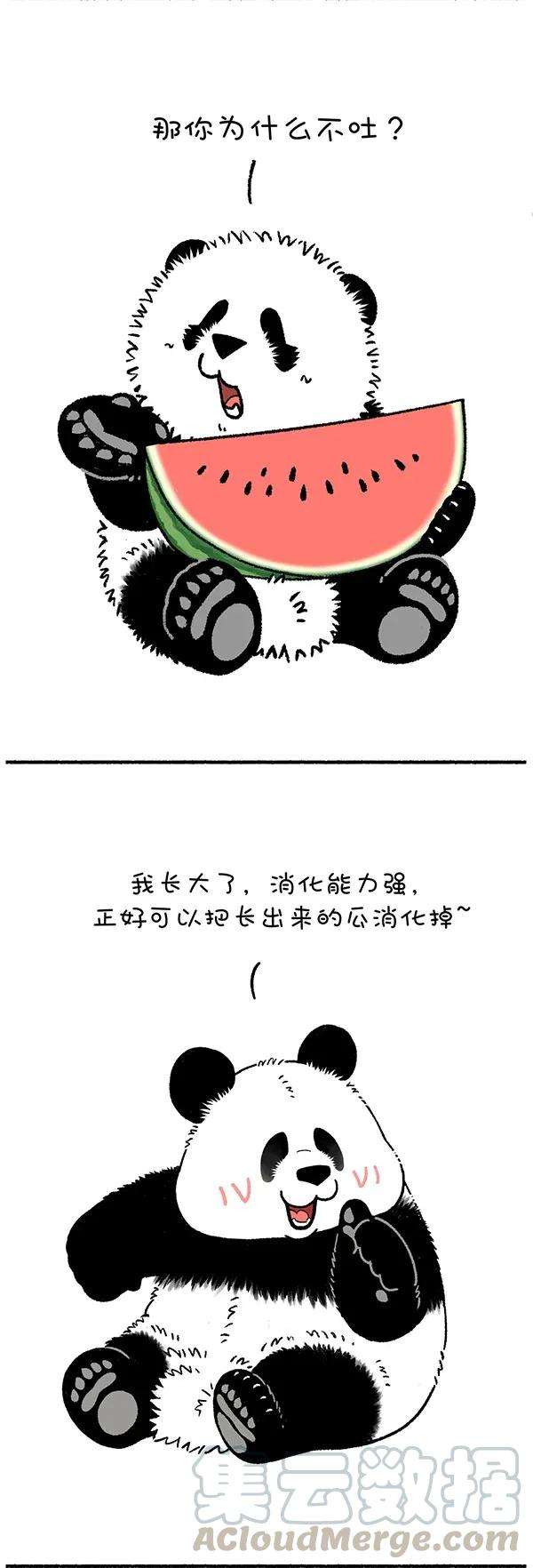 快把动物放进冰箱246 好孩子不可以说谎
