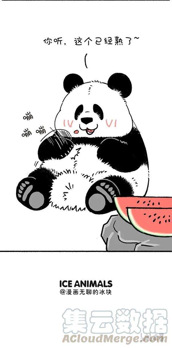 快把动物放进冰箱246 好孩子不可以说谎